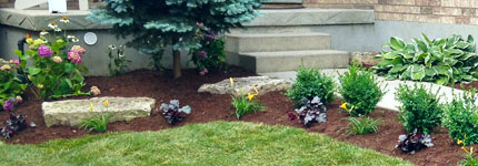 Mulch Ground Coverings